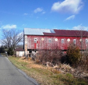 CSA Week #7 – A Picture Tour Through Oley, PA