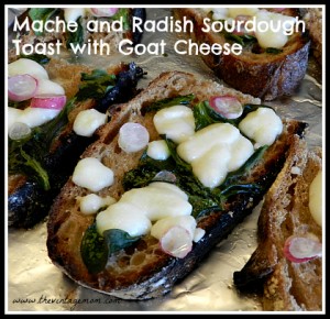 A Farm to Table Meal – Fried Egg Over Rainbow Chard and Mache and Radish Sourdough Toast with Goat Cheese