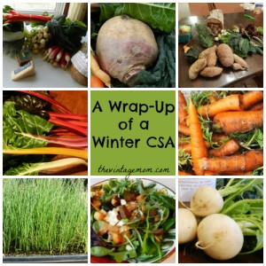 CSA Wrap-Up and a Look Back at our Winter 2012/13 Season