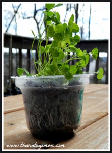 Recycling Activities – Including the Whole Family