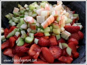 strawberry-rhubarb