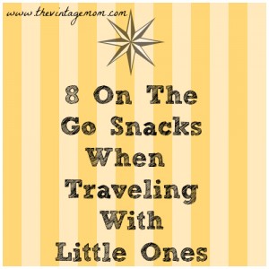8 On The Go Snacks When Traveling With Little Ones