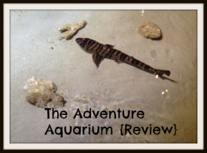 Adventures at the Adventure Aquarium {Review}