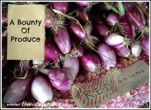 A Bounty of Produce {Locavore Living}
