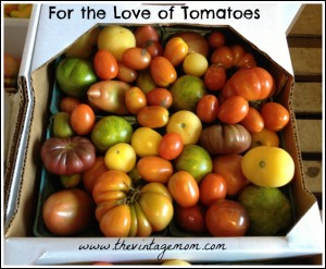 I Am In Love With Tomatoes…Heirlooms To Be Exact {Locavore Living}
