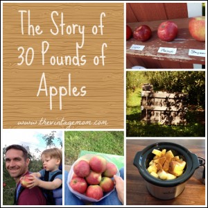 30 Pounds of Apples and Here is What Happened {Locavore Living}