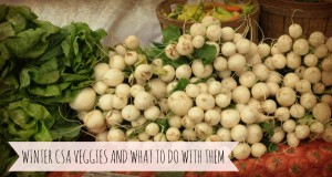 Winter CSA Veggies And What To Do With Them {Locavore Living}