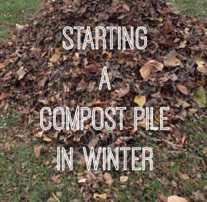 Composting – How to Get Started