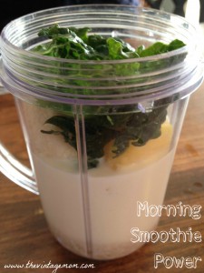 Morning Smoothie Power and a Happy Family Yogurt Giveaway