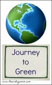 Let’s Start Celebrating Earth Day Early! The Journey to Green – Light Bulbs