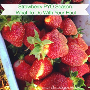 Strawberry Pick-Your-Own Season: What To Do With Your Haul