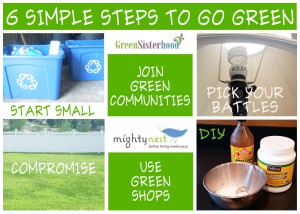 Struggles and Successes in Going Green For You and Your Family