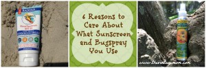6 Reasons You Should Care About What Sunscreen and Bug Spray You Use