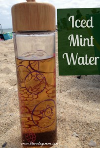 Iced Mint Water – Refreshing and Real
