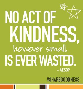 A Summer of Goodness – How Do You Share Kindness ?