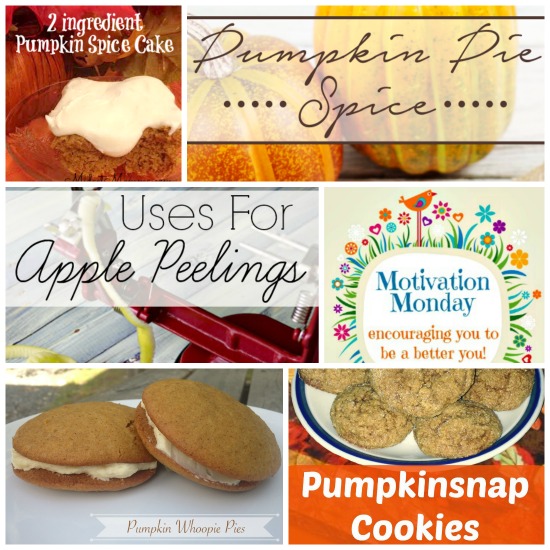 Motivation Monday Linky party