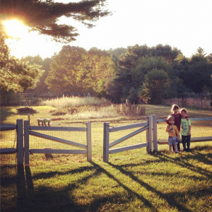 The Vintage Homestead – The Start of Fall