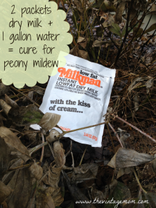 Nutrition for Emergencies Among Other Things – Milkman