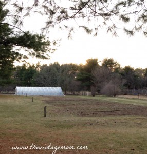 It’s Been Awhile….